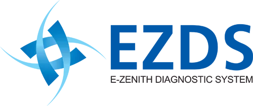 EZDS